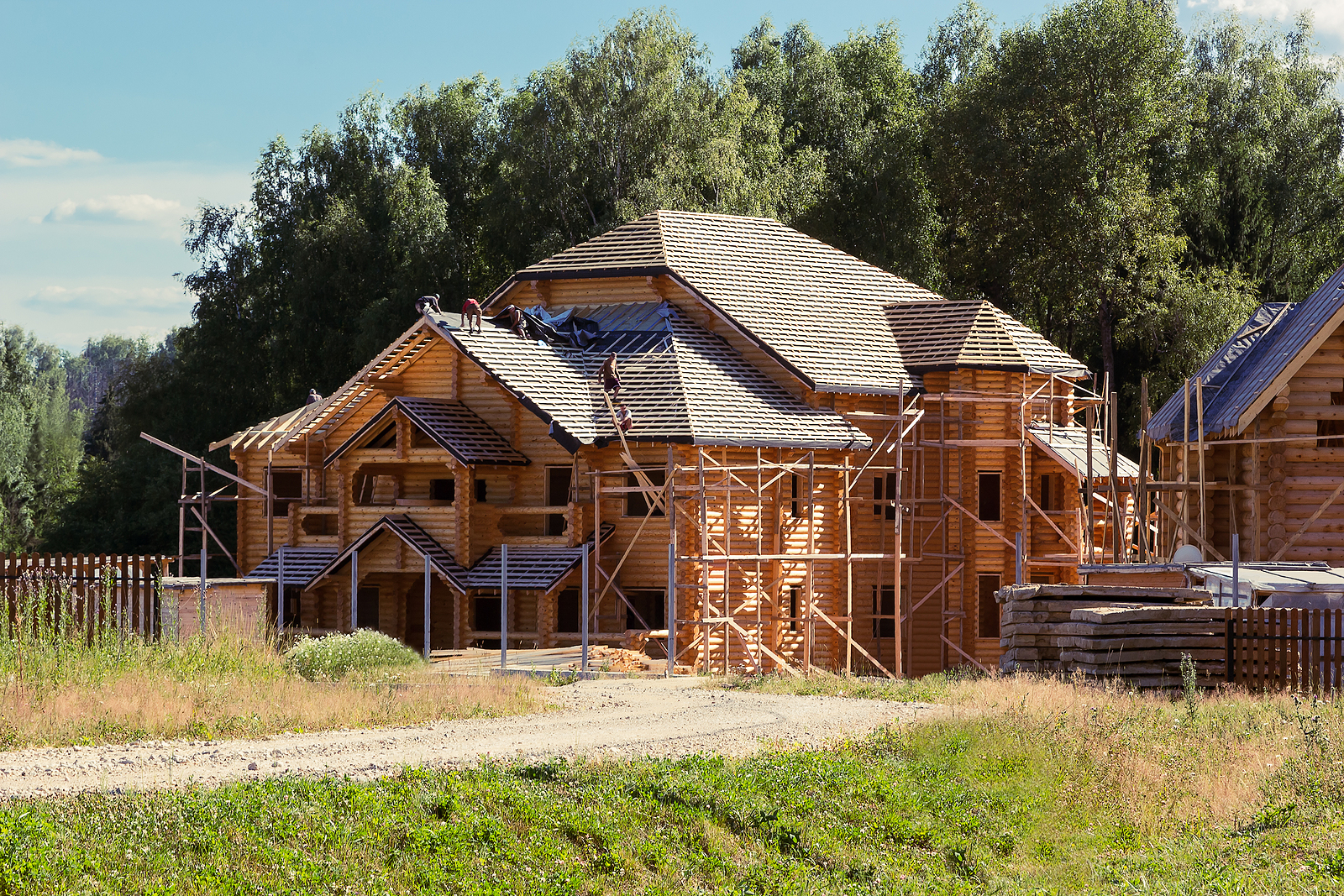 How Tree Coverage Affects Roof Lifespan