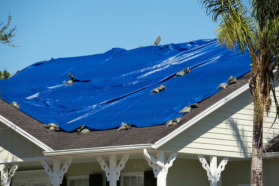 How to Choose the Right Roof Color