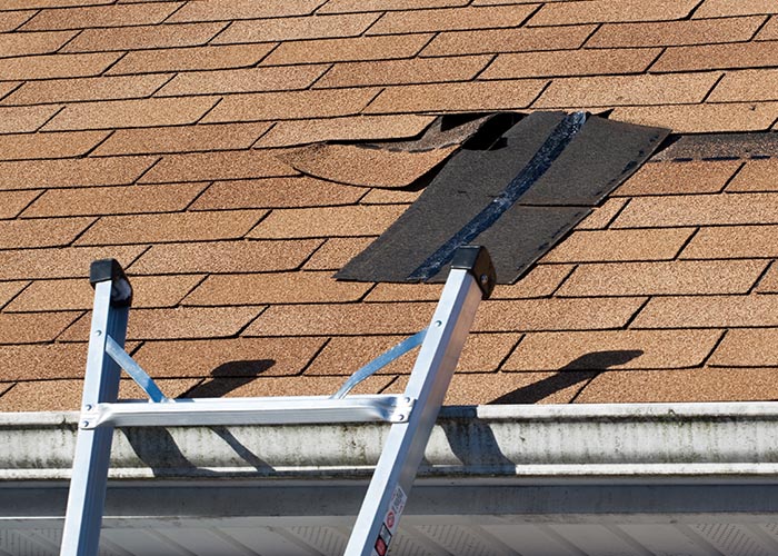 Alfred, ME Storm Damage Roofing Services